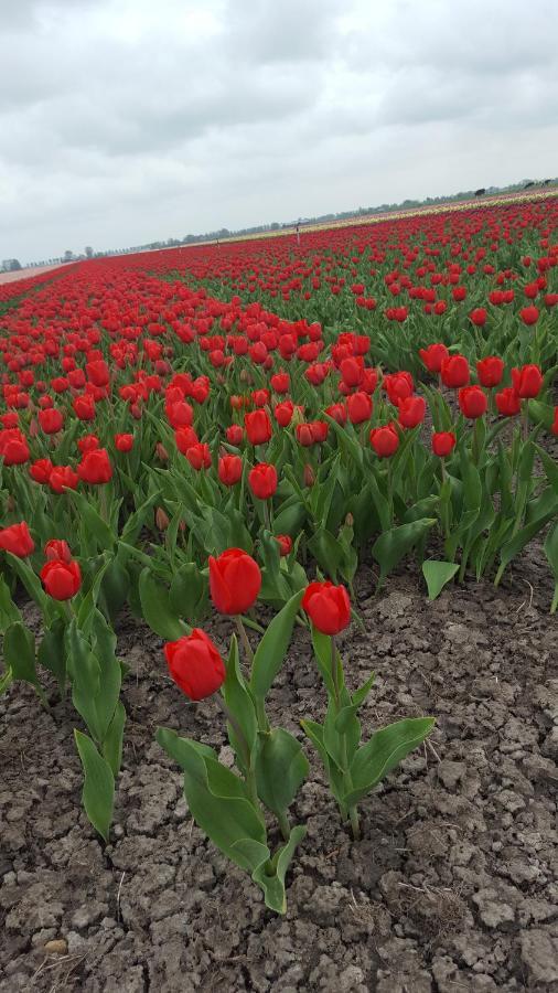 B&B Beemsterlust Westbeemster Bagian luar foto