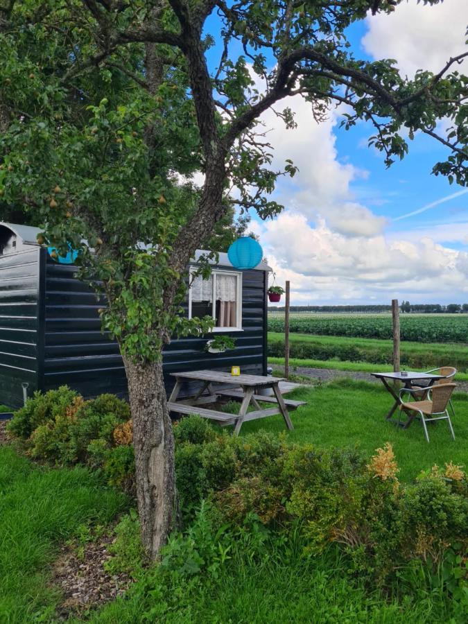 B&B Beemsterlust Westbeemster Bagian luar foto