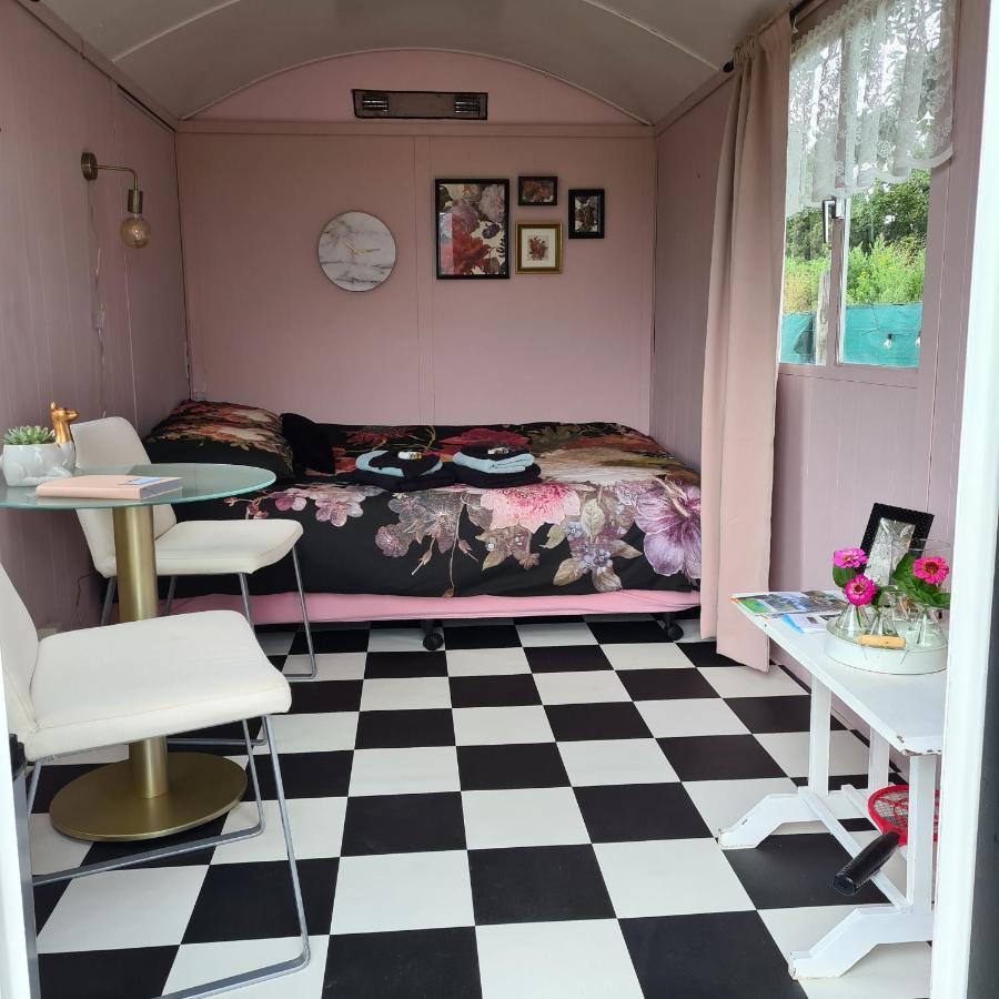 B&B Beemsterlust Westbeemster Bagian luar foto