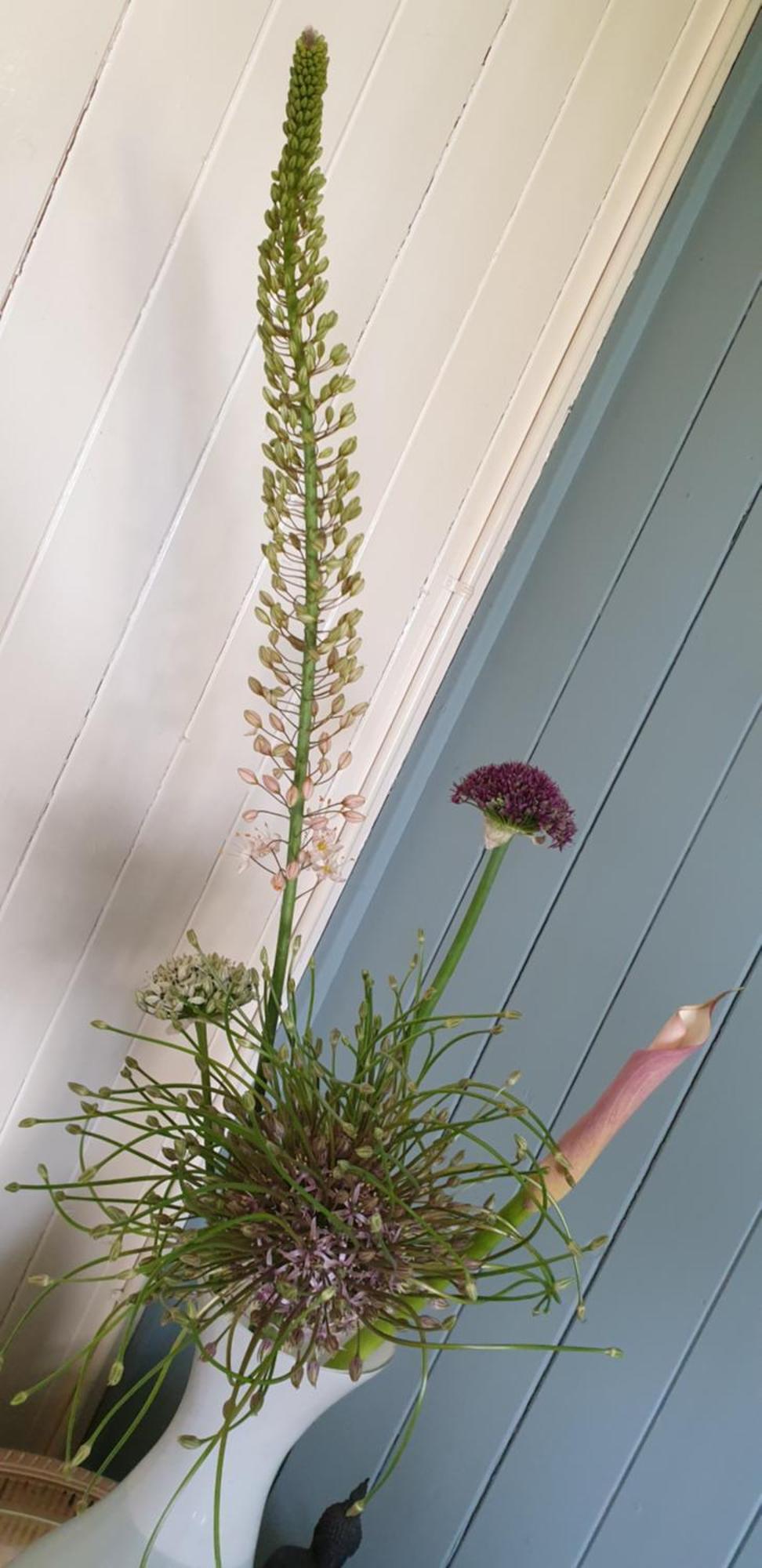 B&B Beemsterlust Westbeemster Ruang foto
